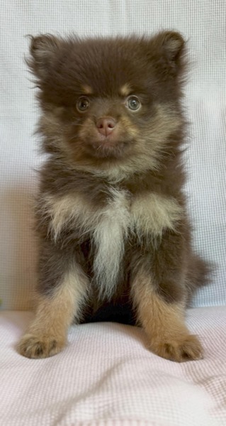 SALE - Exchange Ad 166297, Dubuque (County)